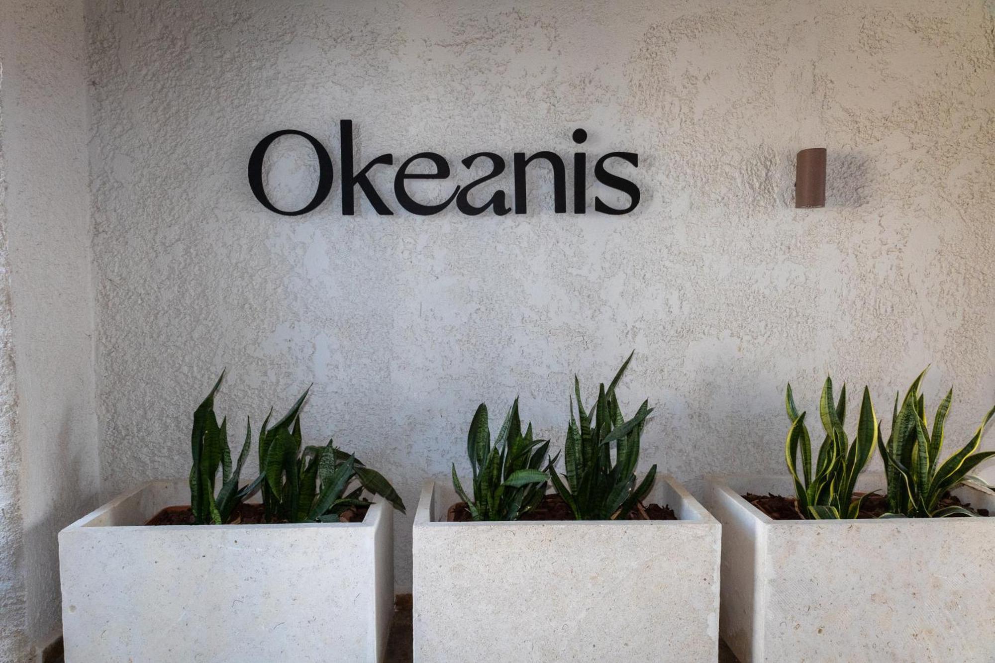 Okeanis Mystique South Lejlighedshotel Ierápetra Eksteriør billede