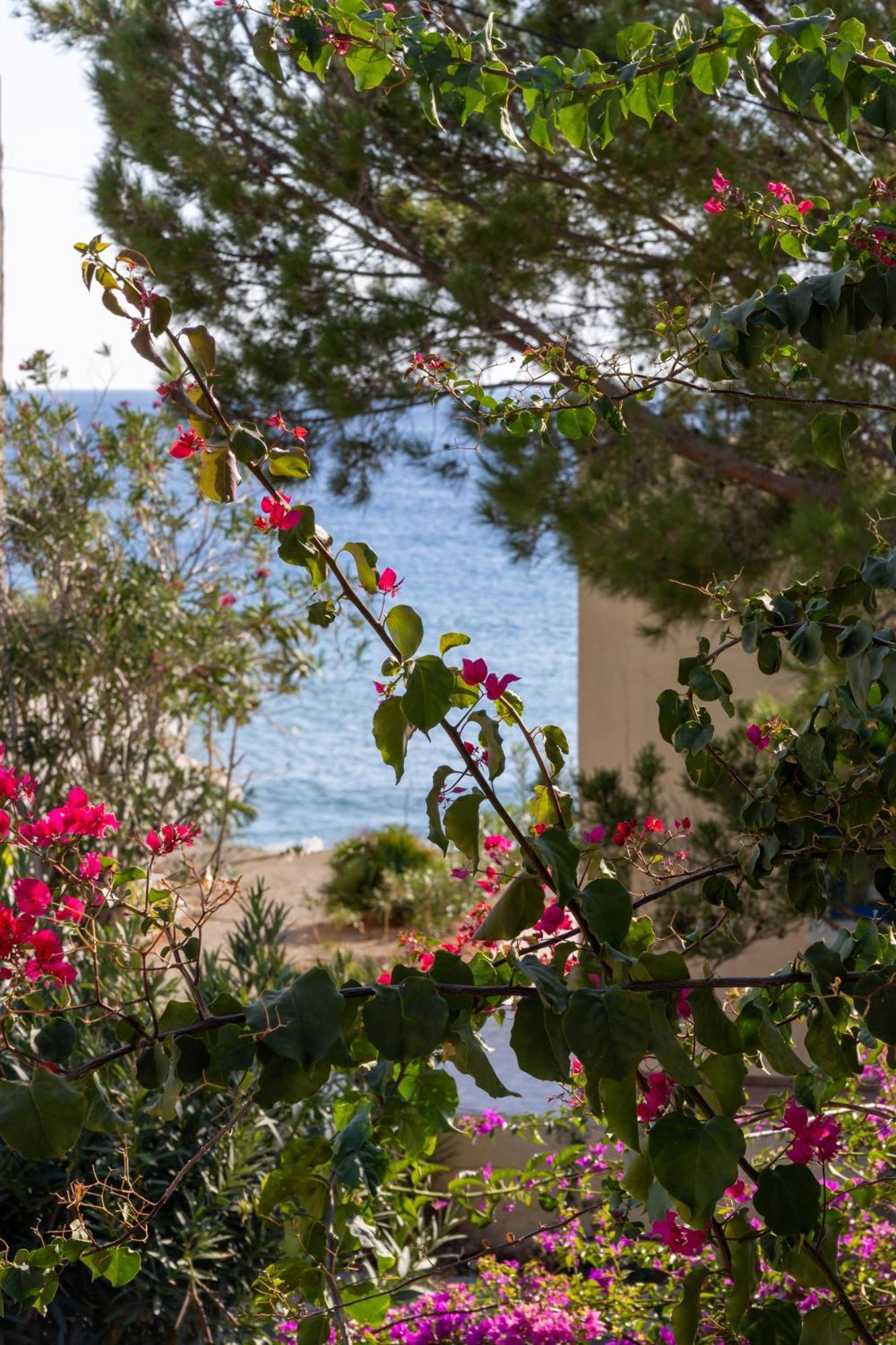 Okeanis Mystique South Lejlighedshotel Ierápetra Eksteriør billede